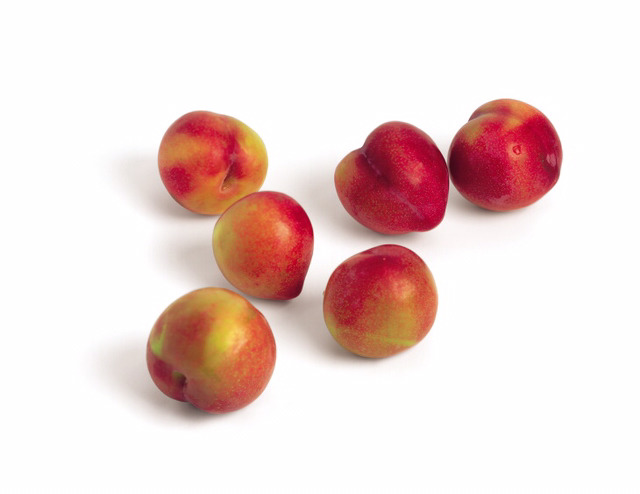 이 중 하나만 평생 무료로 먹을수 있다면? | 인스티즈