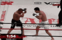 폭발력 하나는 독보적이었던 MMA 파이터 | 인스티즈