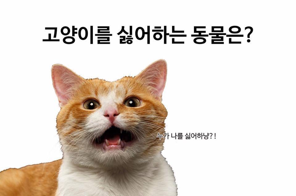 웃음 사냥.jpg | 인스티즈