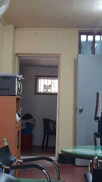 반 지하 살면 생기는 일 | 인스티즈