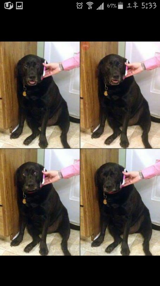 전화로 혼나는 중 | 인스티즈