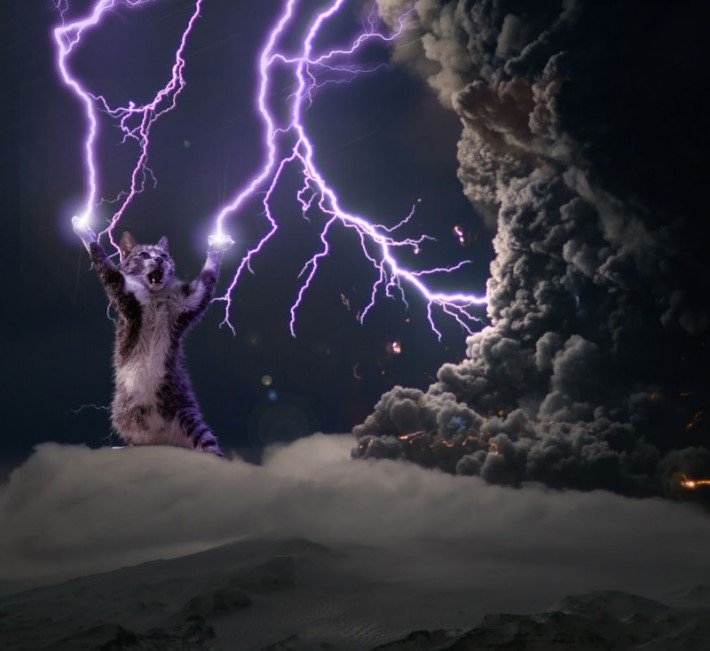 아무도 모르는 한류.jpg | 인스티즈