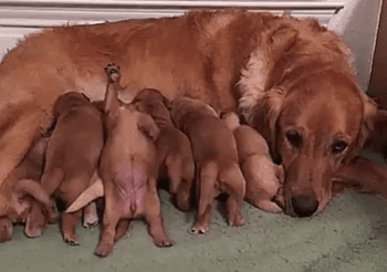 남들과는 다르게 | 인스티즈