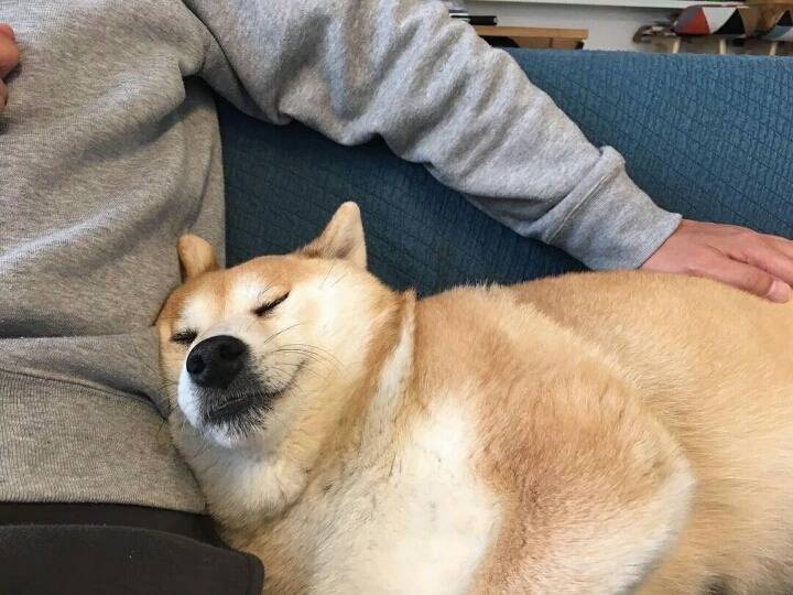 심상정만이 제대로 된 대책을 강구하고있다.twt | 인스티즈