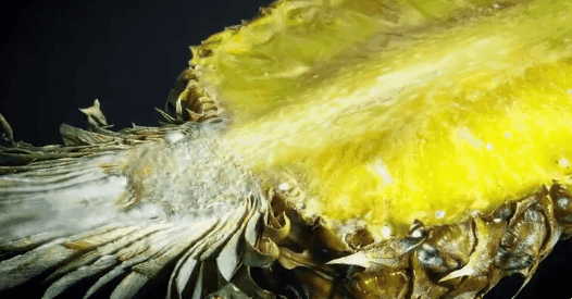 음식물이 상하는 과정.GIF | 인스티즈