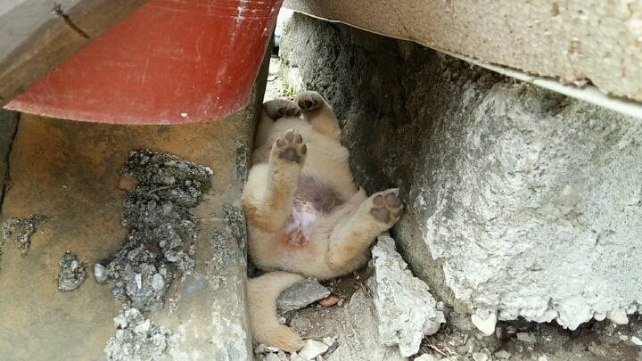 더우니까 건들지 마라!! | 인스티즈