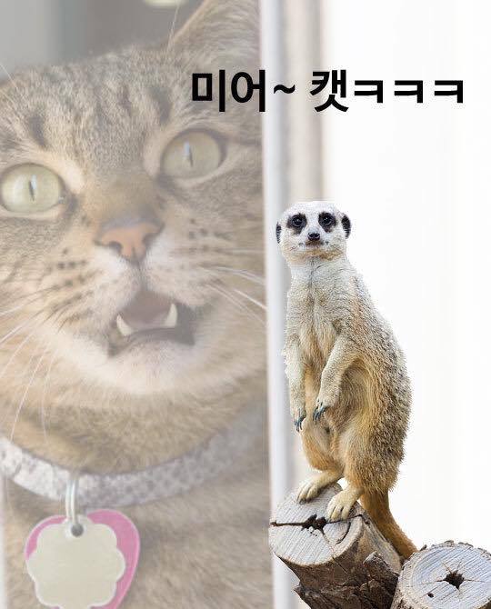 웃음 사냥.jpg | 인스티즈