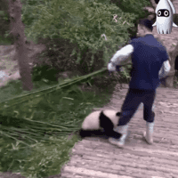 난 한놈만 잡는다.gif | 인스티즈