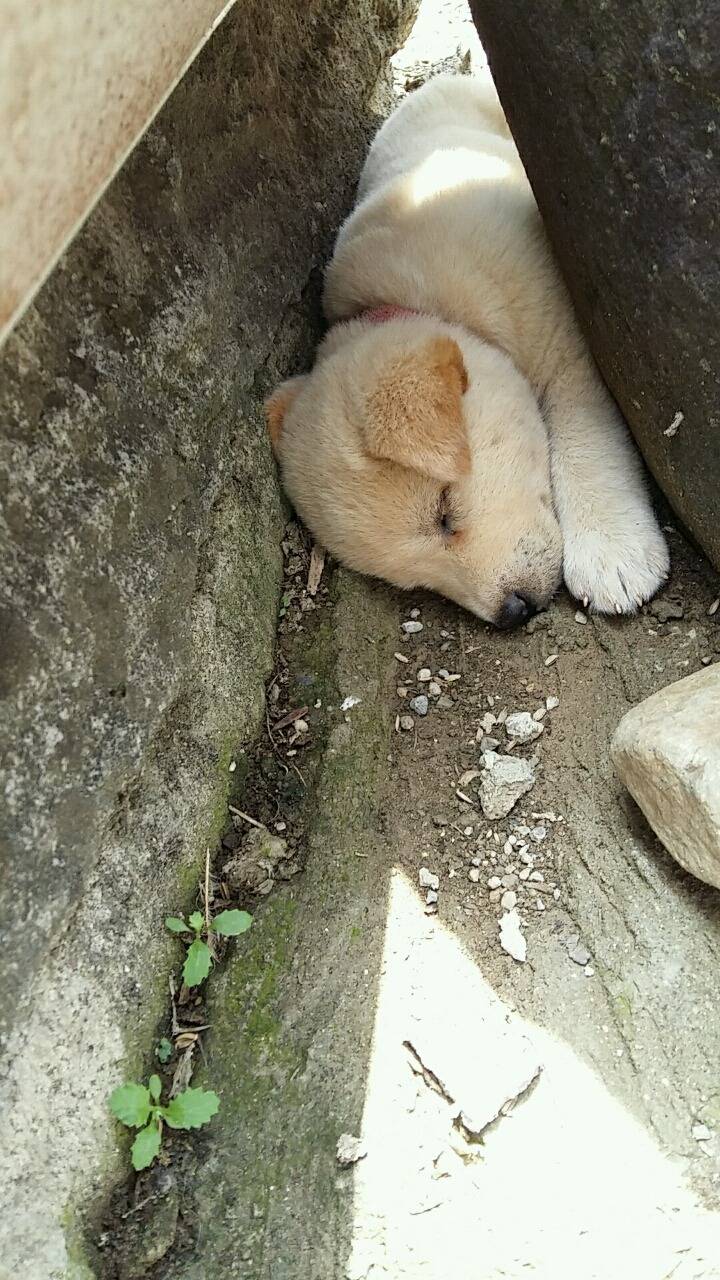 더우니까 건들지 마라!! | 인스티즈