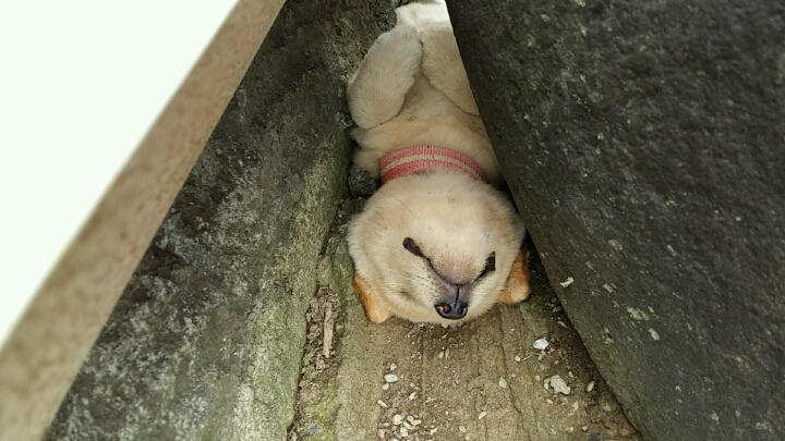 더우니까 건들지 마라!! | 인스티즈