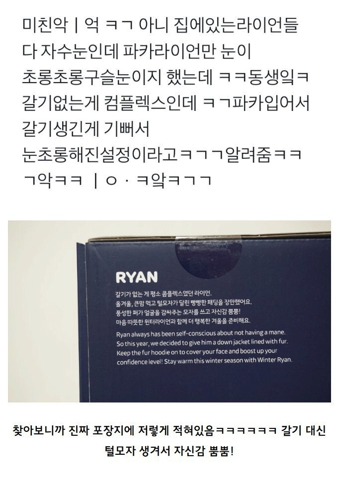 라이언의 눈이 초롱초롱해진 이유 | 인스티즈