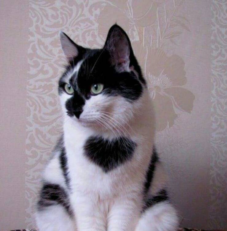 내안에 하트있당 | 인스티즈