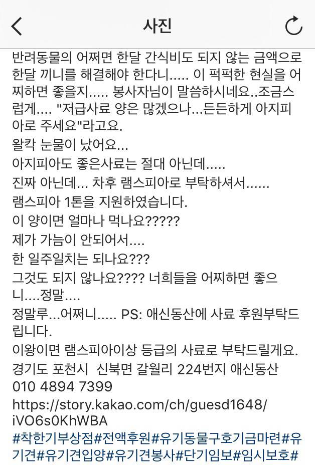 우리 강아지가 먹다 안먹는 사료도 괜찮다는 곳 | 인스티즈