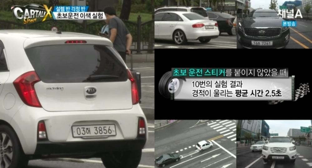 문신토시가 존재하는 이유 | 인스티즈