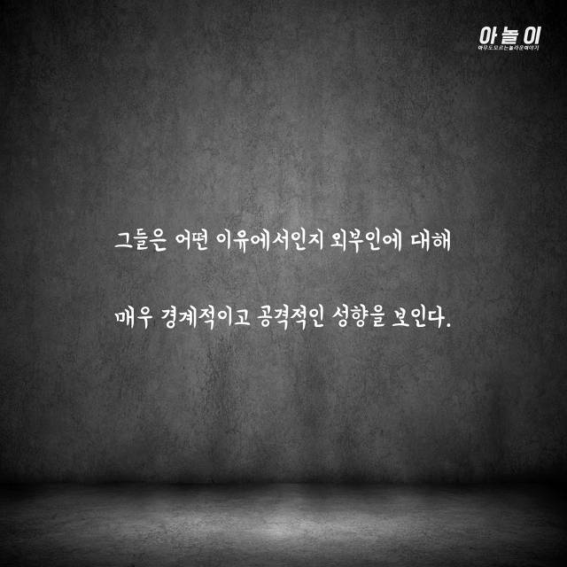 들어가면 바로 살해당하는 섬...ㄷㄷ | 인스티즈