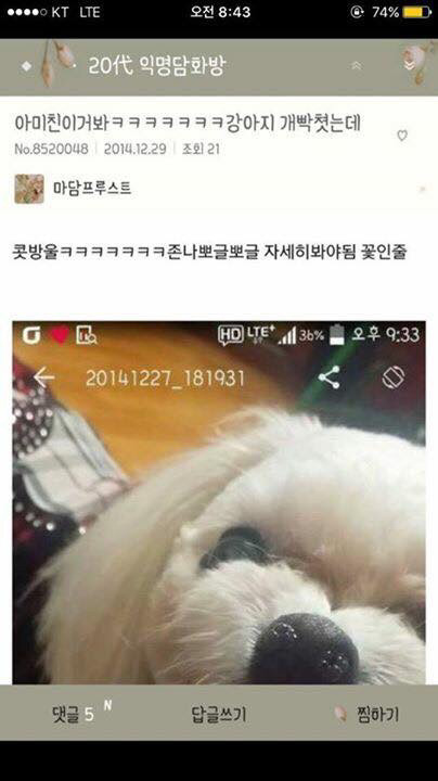 큰일남 우리집 강아지 침.jpg | 인스티즈