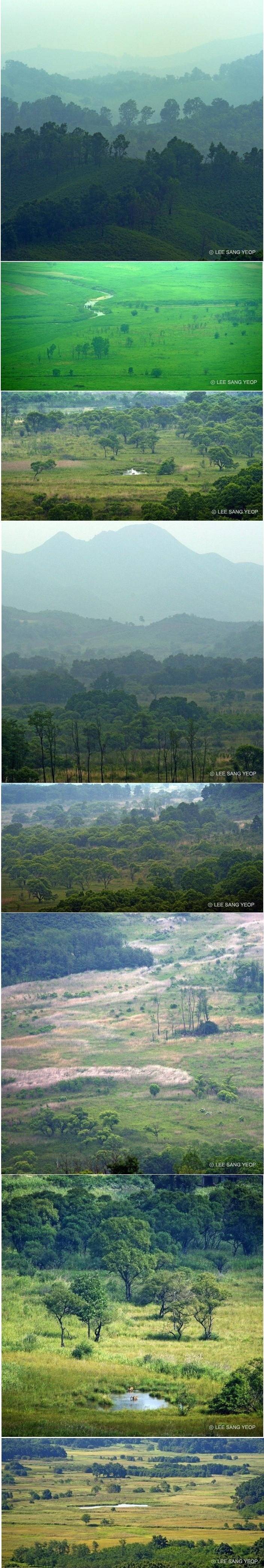 세계 최대의 온대원시림 | 인스티즈