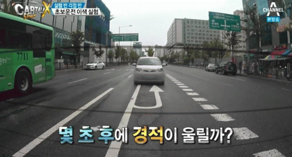 문신토시가 존재하는 이유 | 인스티즈