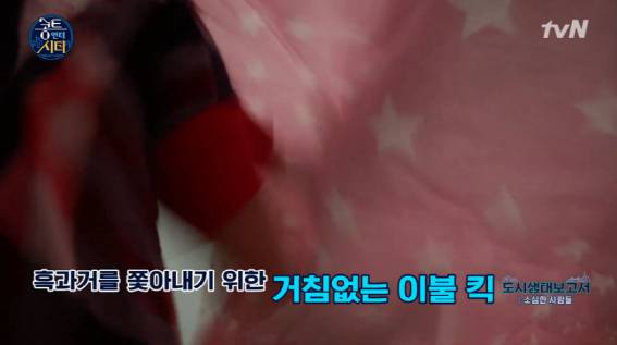 도심속의 소심한사람들 | 인스티즈