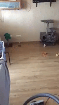 공포영화 한장면.gif | 인스티즈