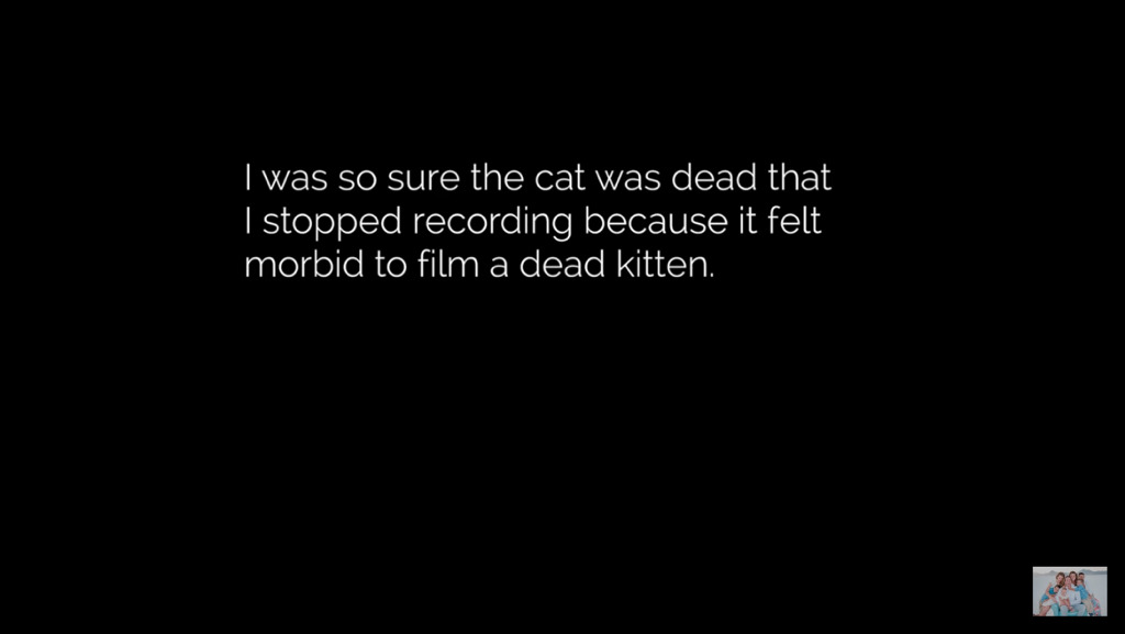 얼어서 죽어가는 아기고양이를 살린 가족 | 인스티즈