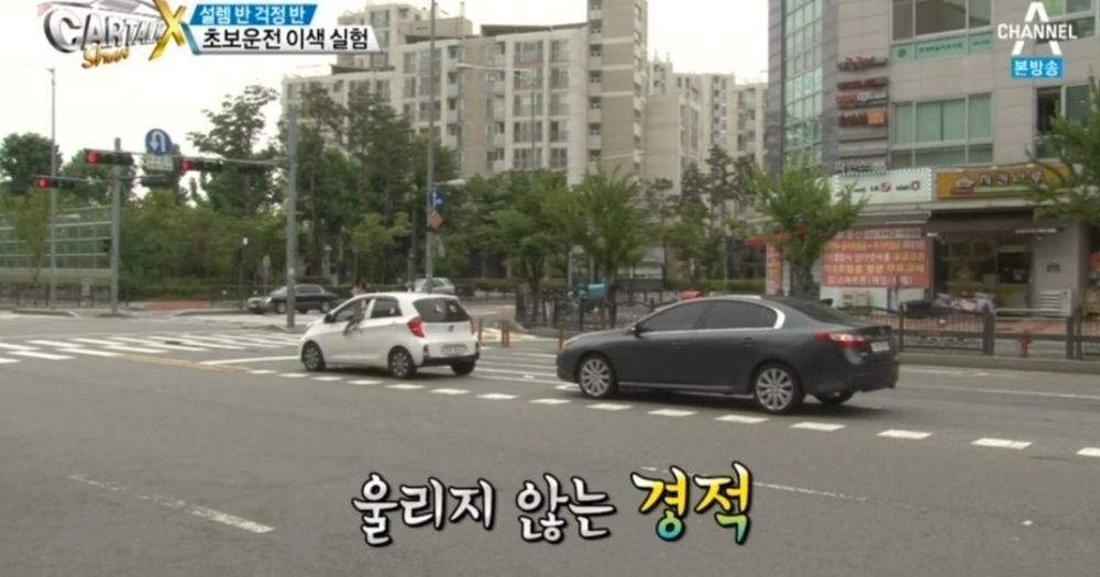 문신토시가 존재하는 이유 | 인스티즈