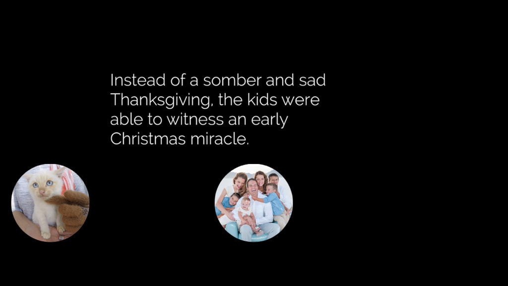 얼어서 죽어가는 아기고양이를 살린 가족 | 인스티즈