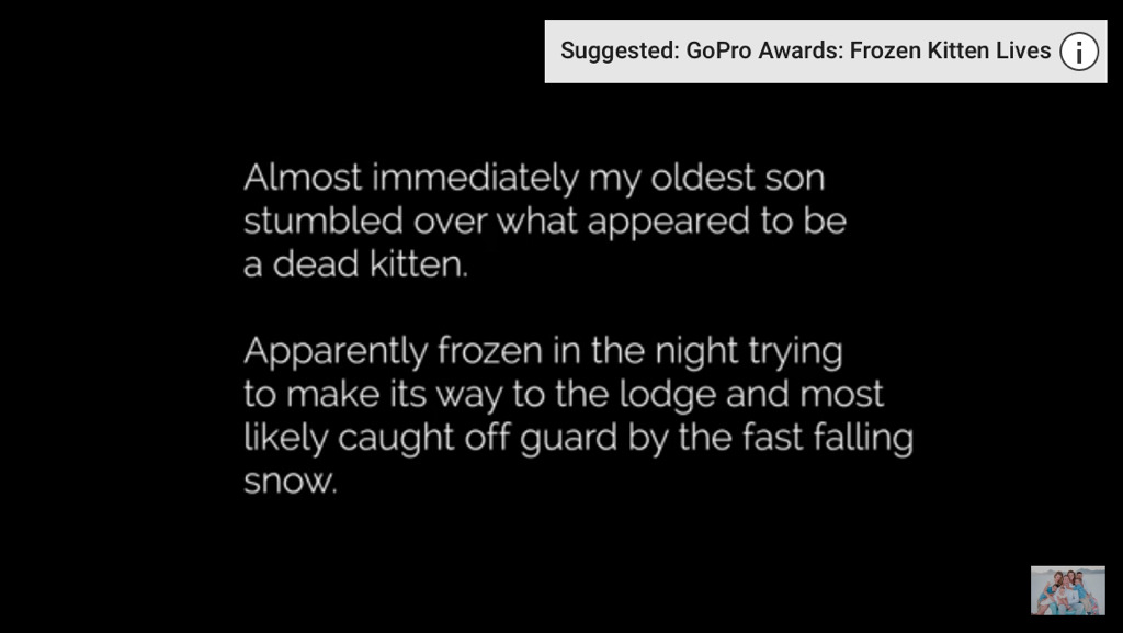 얼어서 죽어가는 아기고양이를 살린 가족 | 인스티즈