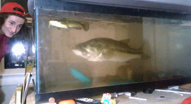 배스의 먹성 | 인스티즈