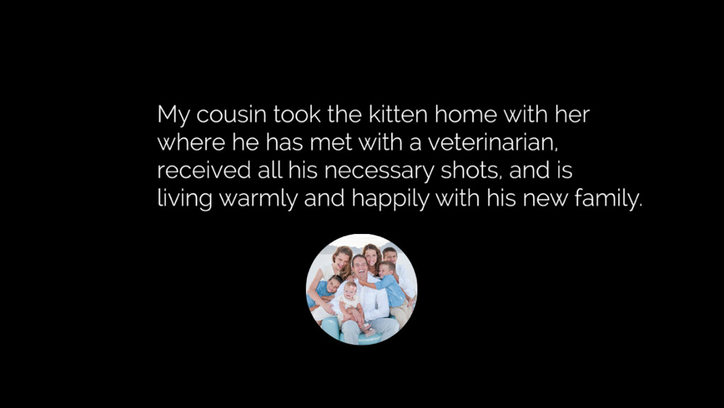 얼어서 죽어가는 아기고양이를 살린 가족 | 인스티즈