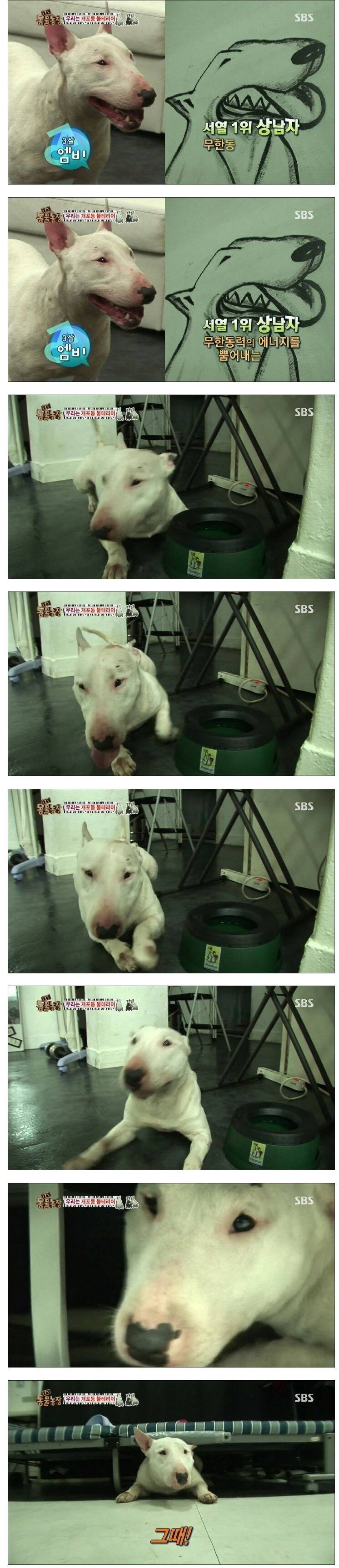 주인의 작명 센스 | 인스티즈