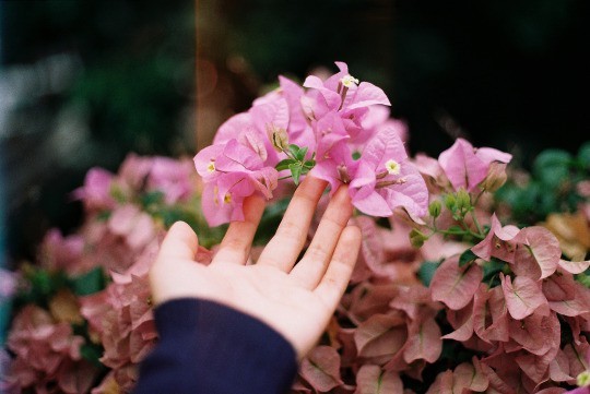  말은 상처를 주라고 있는게 아니다 | 인스티즈