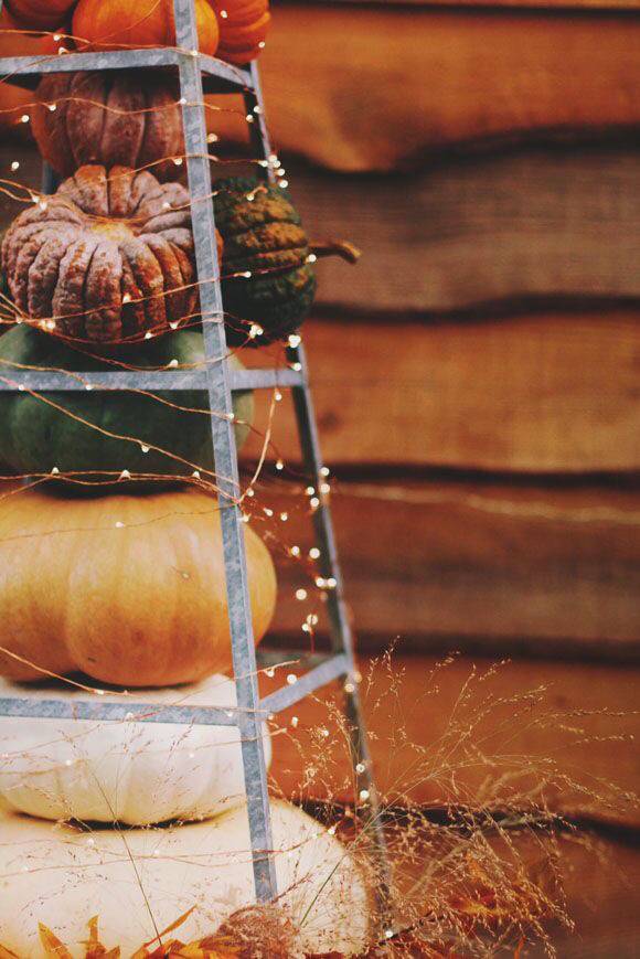 가장 좋아하는 계절은? | 인스티즈