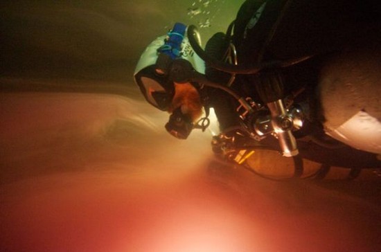 블루홀 끝까지 탐사하기!!! .jpg | 인스티즈