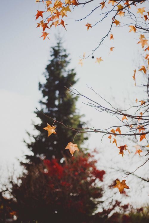 가장 좋아하는 계절은? | 인스티즈