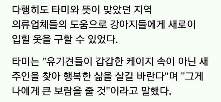 유기견들에게 예쁜 옷 입혀 프로필 사진 찍어 준 사진작가 | 인스티즈