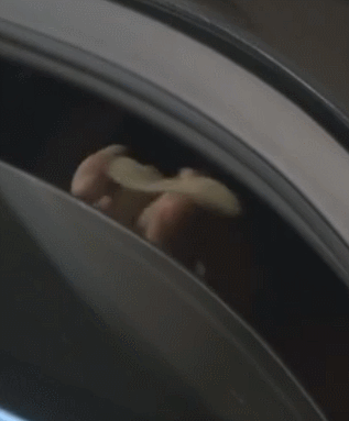 자동차 창문틈 사이로 무나하는 아이돌 | 인스티즈