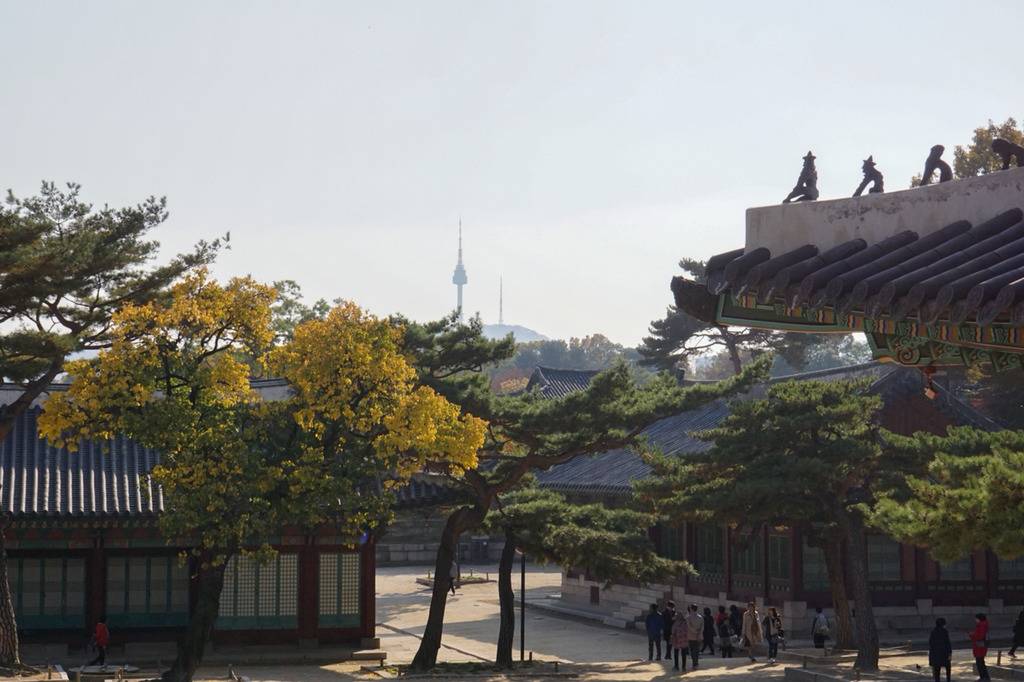주말간 서울 5대 고궁 탐방 사진 | 인스티즈