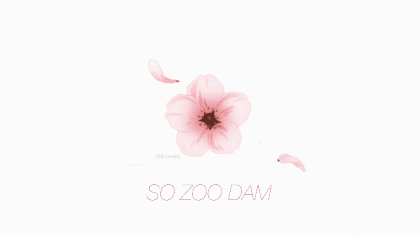 송은정 작가님 페이스북 - 김도연 개떼 발언 | 인스티즈