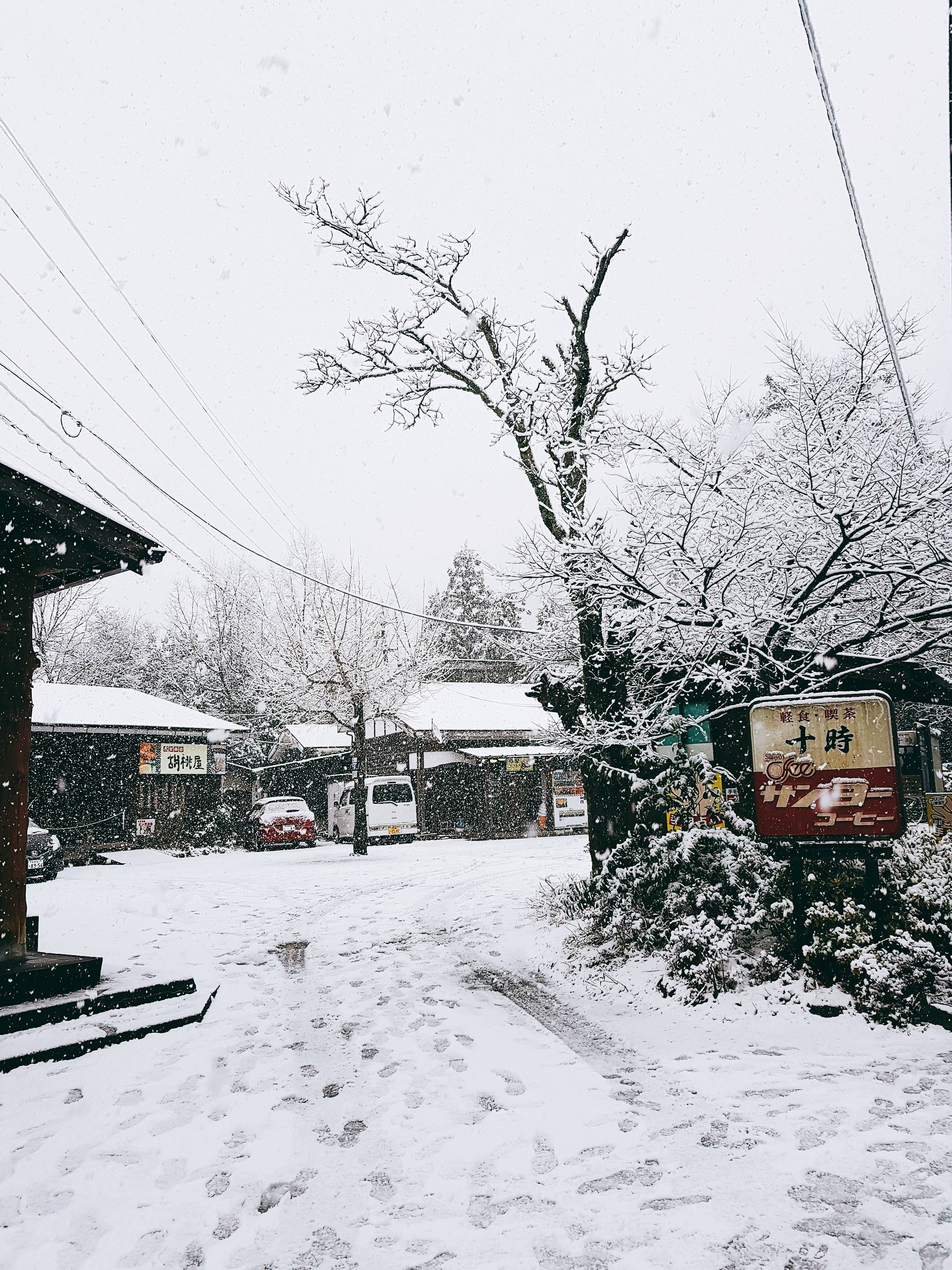 규슈에서 눈이 | 인스티즈
