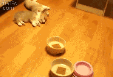 게임할때 상대방이 하는 말의 진짜 속뜻 | 인스티즈