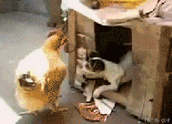 라면먹고가.gif | 인스티즈