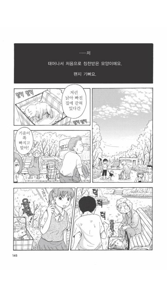 개를 주워오면 안되는 이유 | 인스티즈