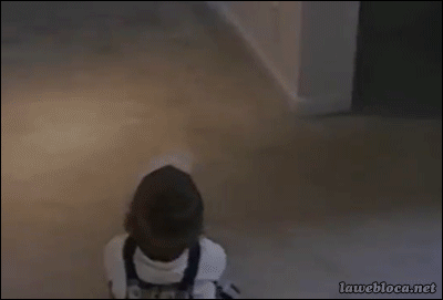 강아지와 아기 .gif | 인스티즈