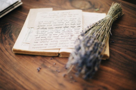  말은 상처를 주라고 있는게 아니다 | 인스티즈