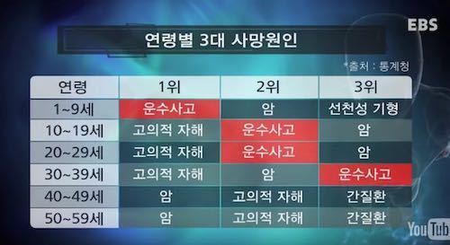 연령별 사망 원인.jpg | 인스티즈