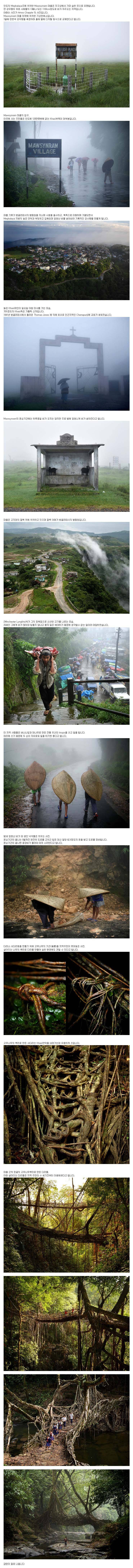 지구상에서 가장 습한 마을 | 인스티즈