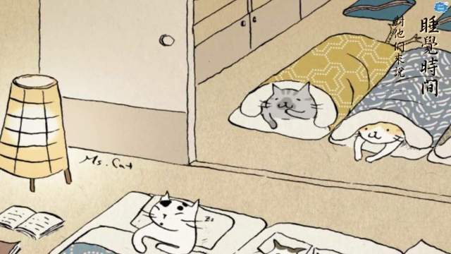 우리가 출근하면 냥이들은 뭐하고 있을까? | 인스티즈