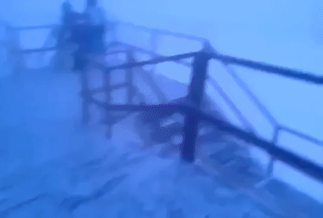 이맘때러시아 하굣길 | 인스티즈