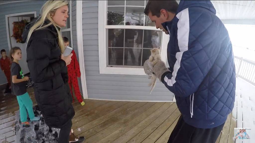 얼어서 죽어가는 아기고양이를 살린 가족 | 인스티즈